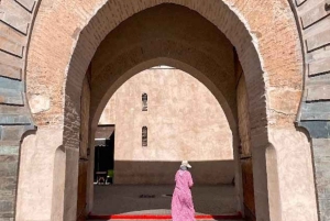 Marrakech: 1-times tur med tradisjonell hestevogn