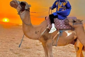 Marrakech: 1 Nacht Wüsten-Quadbike Tour & Kamelritt bei Sonnenuntergang