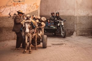 Marrakech Hidden Gems: Vintage 1h30 Sidecar Guided Tour