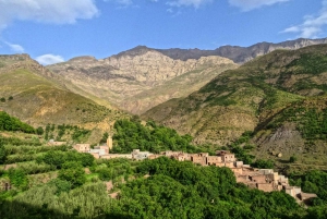 Marrakech: 2-Day Atlas Mountains Trek with Village Stay