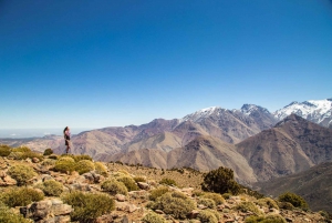 Marrakech: Excursión de 2 días por el Atlas con estancia en un pueblo