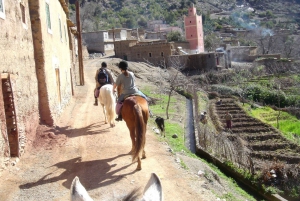 Marrakech: Trekking di 2 giorni sulle montagne dell'Atlante con soggiorno in un villaggio