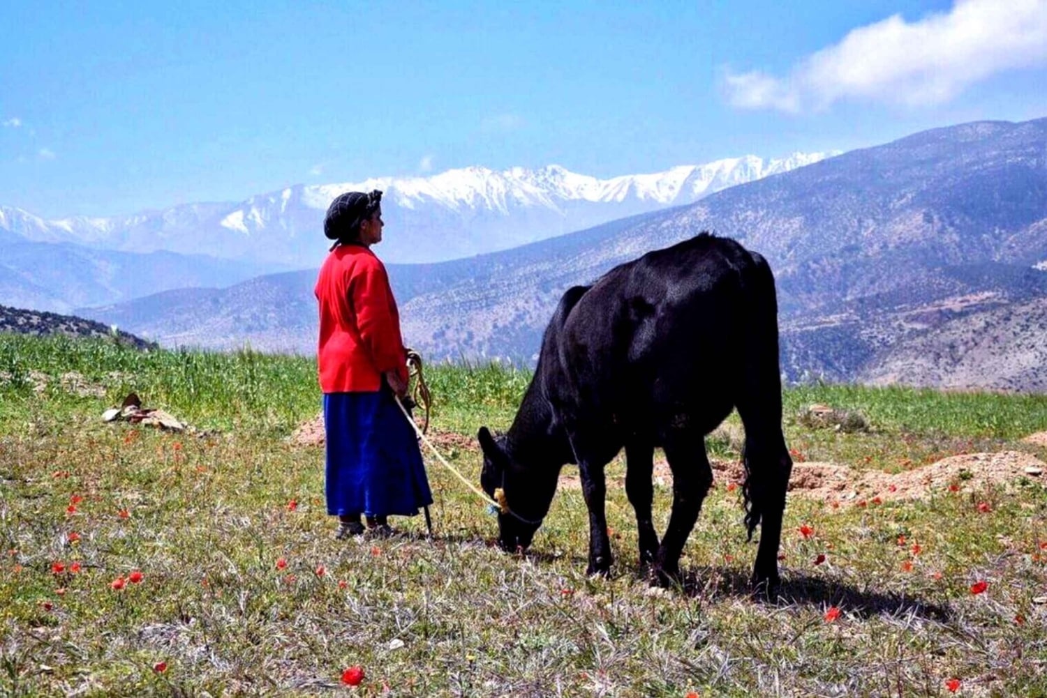 Marrakech: 2-tägige Trekking-Tour durch die Atlasdörfer