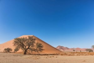 Marrakech: 2-Day Private Zagora Desert Tour with Camel Ride