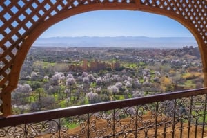 Marrakech: 2-dages tur til Dades-kløften og Rosernes Dal