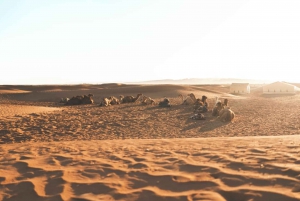 Marrakech: 2-Day Zagora Desert & Kasbah Ait Benhaddou Tour