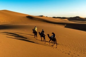 Saharan autiomaaretki: 3 päivän Merzouga ja Saharan autiomaaretki