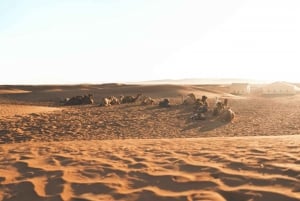 3-dages tur til Merzouga og Sahara-ørkenen