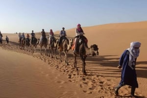Marrakech: Excursión de 2 días por el desierto de Zagora con paseo en camello