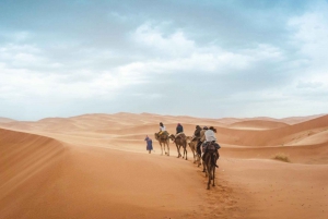 Marrakech: Marrakec: 2-Day Zagora Desert Tour with Camel Ride: 2-Day Zagora Desert Tour with Camel Ride