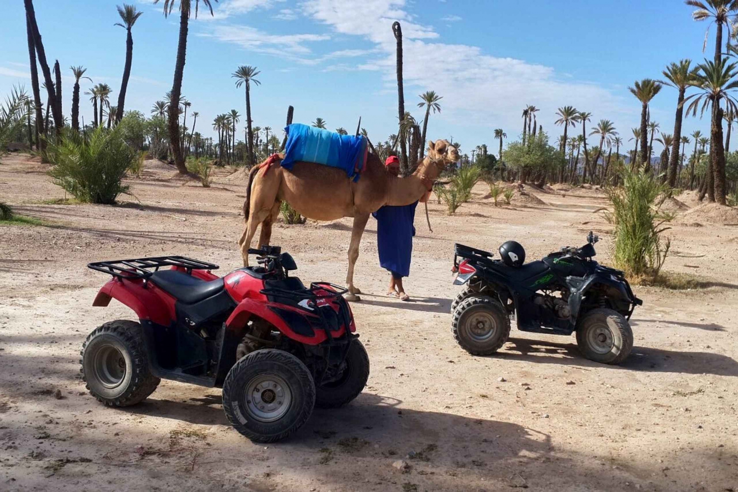 Marrakech: 2-timers firehjuling- og kameltur i Palmeraie