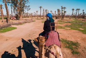 Marrakech: 2 tunnin mönkijä- ja kamelinajelu Palmeraiessa