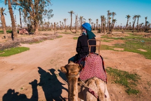Marrakech: 2-Hour Quad Bike & Camel Ride in Palmeraie