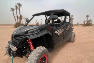 Marrakech: 1000cc Buggy trip to the palm grove and tea