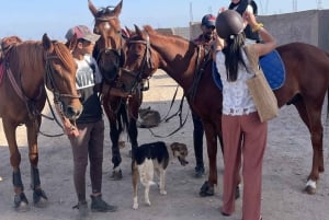 Marrakech: Palm Grove Buggy Ride with Moroccan Tea & Pancake