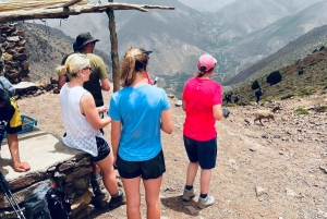 Marrakech: 3-Day Atlas Mountains Berber Villages Trek