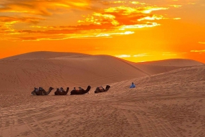 De Marrakech a Fez: 3 días de cena, camello, quad y fogata