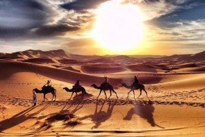 De Marrakech a Fez: 3 días de cena, camello, quad y fogata