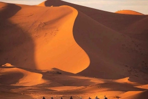 Marrakech: 3-dagars exklusiv lyxig ökenresa; fyrhjulingar och kameler