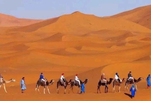 Marrakech: 3-dagars exklusiv lyxig ökenresa; fyrhjulingar och kameler
