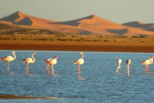 Marrakech: 3-dagars exklusiv lyxig ökenresa; fyrhjulingar och kameler