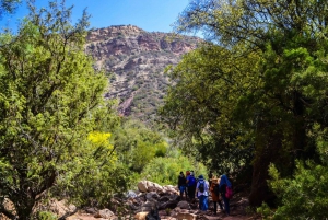 Marrakech: 3 Day High Atlas Mountains and Three Valleys Trek