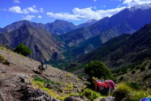 Marrakech : Randonnée de 3 jours dans le Haut Atlas et les Trois Vallées