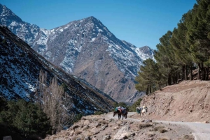 Marrakech : Randonnée de 3 jours dans le Haut Atlas et les Trois Vallées