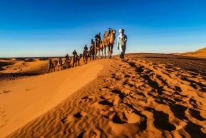 Marrakech: 3-day Merzouga Desert, Quad & Camel + Dinner Show