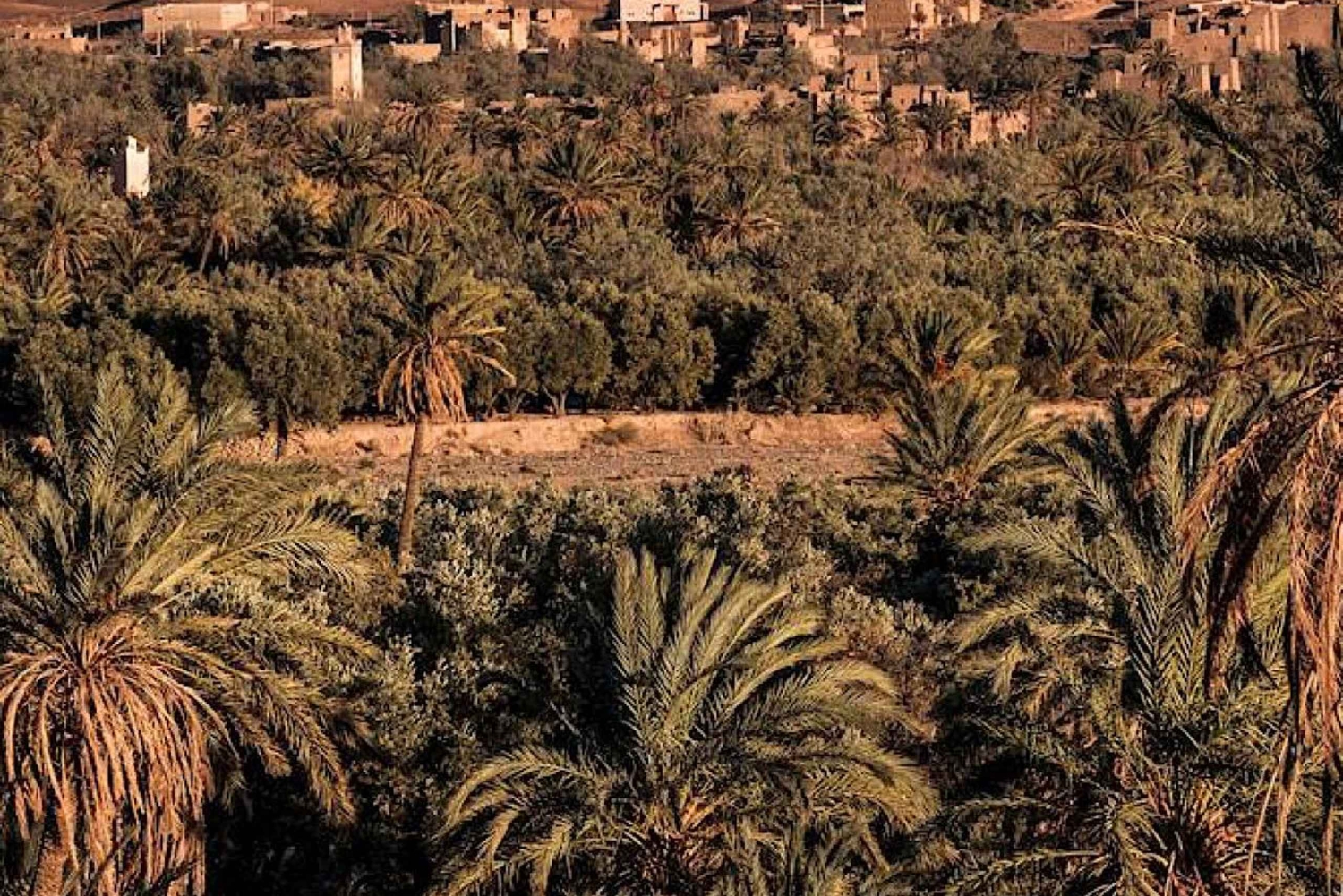 3 Tage ab Marrakesch: Merzouga, Wüstentour, Kamel & Sandboarding