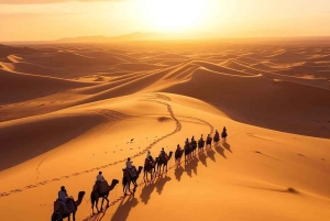 3 Tage ab Marrakesch: Merzouga, Wüstentour, Kamel & Sandboarding