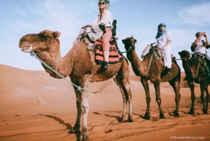 3 Tage ab Marrakesch: Merzouga, Wüstentour, Kamel & Sandboarding