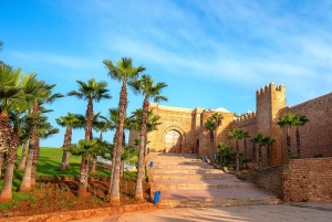 Marrakech: 3-dagars tur till kejserliga städer och Atlasbergen