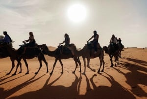 Marrakesz: 3-dniowa wycieczka do Fezu z sandboardingiem i przejażdżką na wielbłądzie