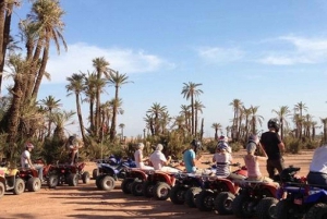 Marrakech: 3-Hour Quad Bike Adventure