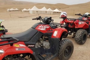 Marrakech: 3-Hour Quad Bike Adventure