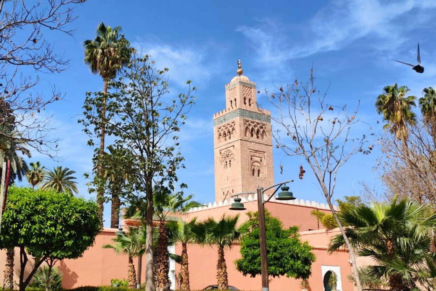 Marrakech 3-Hour Walking Tour