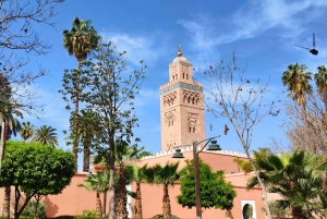 Marrakech 3-Hour Walking Tour