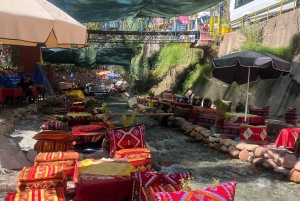 Visite privée à Marrakech dans les trois vallées, les cascades et les montagnes