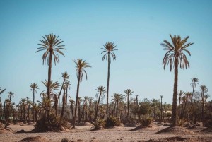 Marrakech : 3 heures hors des sentiers battus en side-car privé