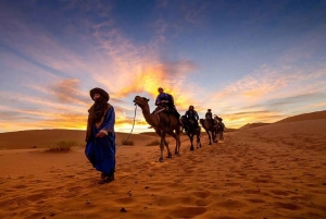 Marraquexe: Excursão de luxo de 4 dias ao deserto para Fes via Merzouga