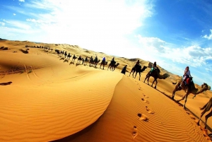 Marraquexe: Excursão de luxo de 4 dias ao deserto para Fes via Merzouga