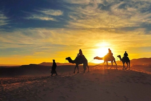 Marraquexe: Excursão de luxo de 4 dias ao deserto para Fes via Merzouga