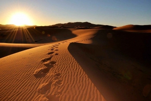 Marraquexe: Excursão de luxo de 4 dias ao deserto para Fes via Merzouga