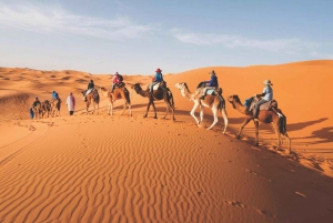 Marraquexe: Excursão de luxo de 4 dias ao deserto para Fes via Merzouga