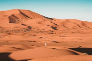 Marrakech: Excursión inolvidable de 4 días al desierto del Sahara