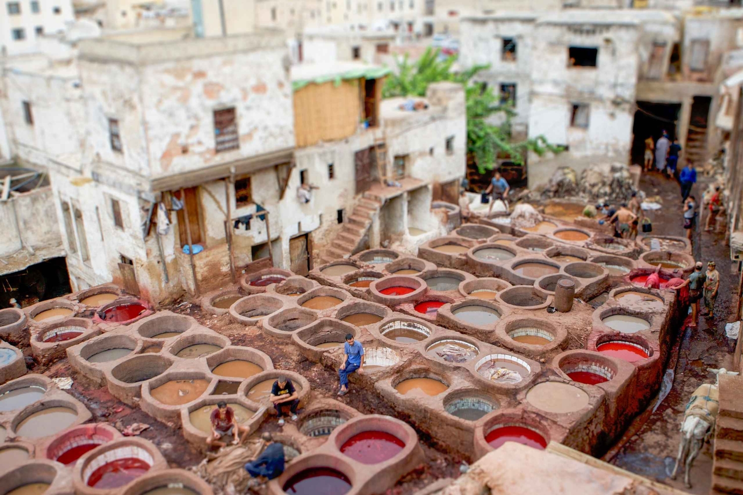 Marraquexe: Viagem de 7 dias a Tânger via Chefchaouen e deserto