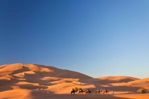 Marrakech: viaggio di 7 giorni a Tangeri via Chefchaouen e il deserto