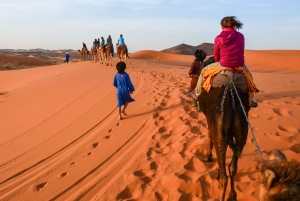 Marraquexe: Viagem de 7 dias a Tânger via Chefchaouen e deserto