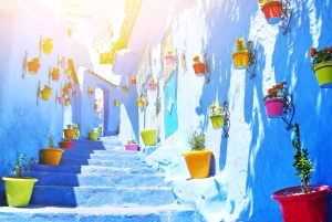 Marraquexe: Viagem de 7 dias a Tânger via Chefchaouen e deserto